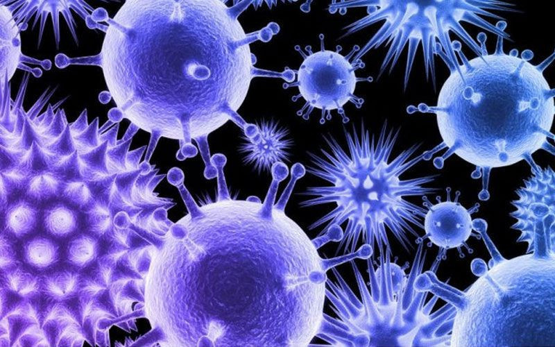 "Beyin yiyen amip gözden bulaşabiliyor" Yüzünüzü yıkadığınız suya dikkat! - Resim: 1