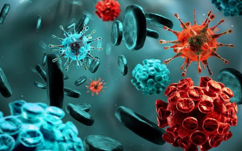 "Beyin yiyen amip gözden bulaşabiliyor" Yüzünüzü yıkadığınız suya dikkat! - Resim: 3