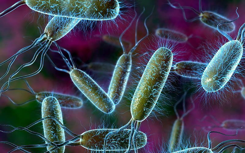 "Beyin yiyen amip gözden bulaşabiliyor" Yüzünüzü yıkadığınız suya dikkat! - Resim: 4