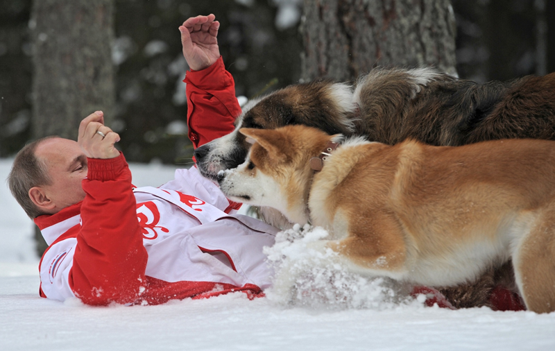 Putin stresini böyle attı - Resim: 1