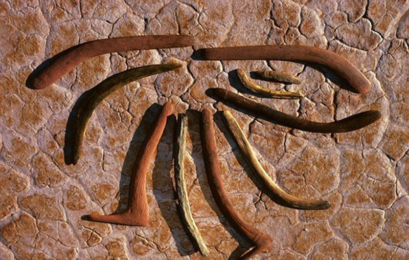 800 yıl önce ölmüştü... Ölüm nedeni 2016'da anlaşıldı! - Resim: 2