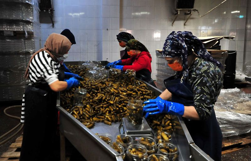 Bursa'da yazı aylarında bu köyün nüfusu ikiye katlanıyor adını duyan koşuyor - Resim: 1