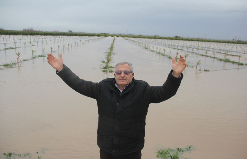 Adana felaketi yaşıyor! Çiftçilerin durumu çok vahim - Resim: 2