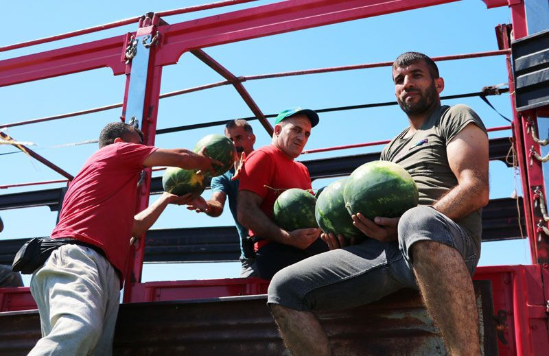 Adana'da sıcağın altında günde 200 ton karpuz yüklüyorlar - Resim: 3