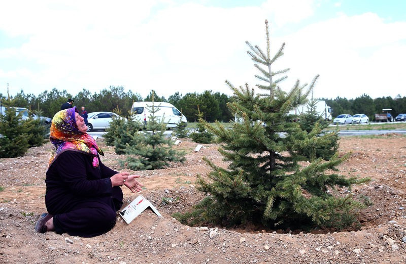 O levhaları gören gözyaşlarına boğuldu! - Resim: 3