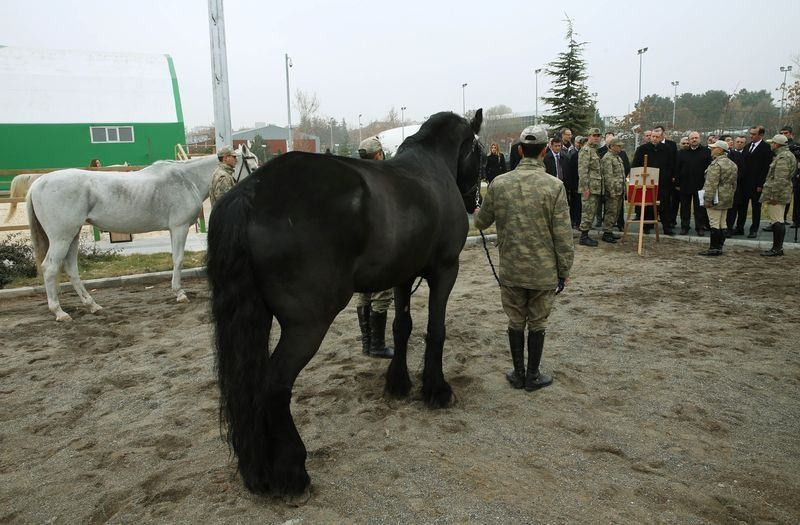 Erdoğan  atlı tedavi merkezini ziyaret etti - Resim: 1