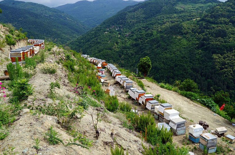 İstanbul'u terketti bileziğini sattı tezgahını kurdu şimdi paraya para demiyor - Resim: 1