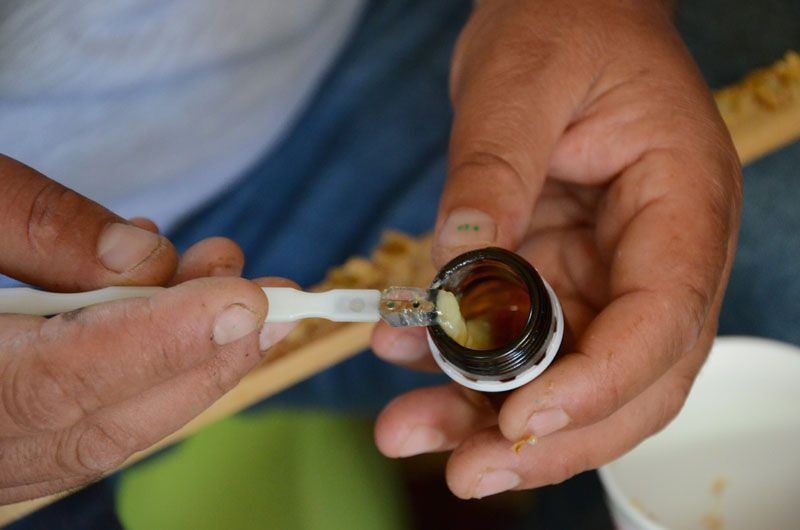 Vücuttaki ölü hücreleri canlandırıyor 10 gramı 100 lira - Resim: 1