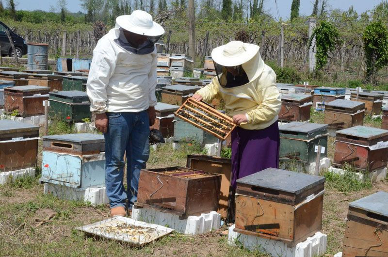 Vücuttaki ölü hücreleri canlandırıyor 10 gramı 100 lira - Resim: 3
