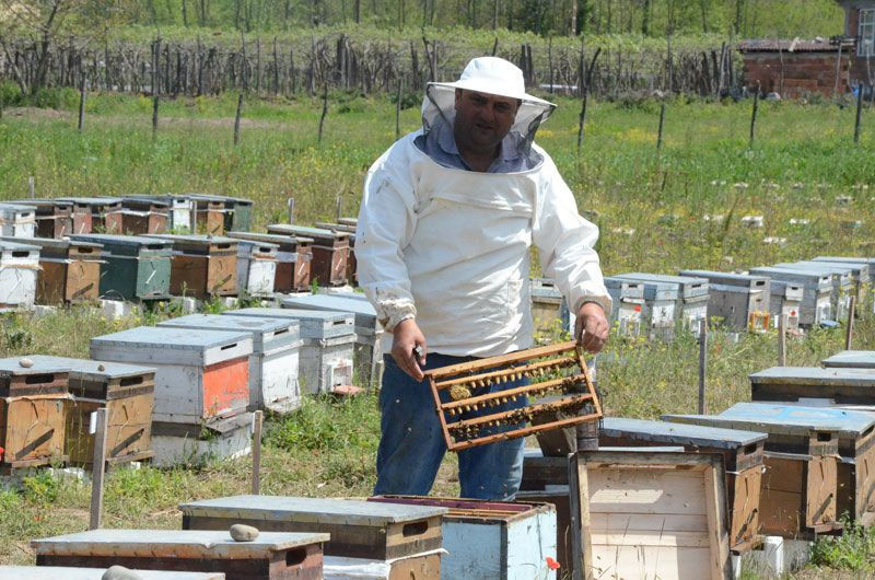Vücuttaki ölü hücreleri canlandırıyor 10 gramı 100 lira - Resim: 4