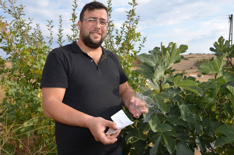 İncir ağacına bırakılan not tarla sahibini çok şaşırttı - Resim: 1