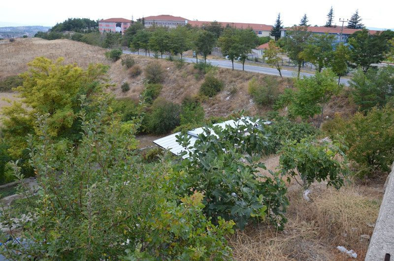 İncir ağacına bırakılan not tarla sahibini çok şaşırttı - Resim: 2