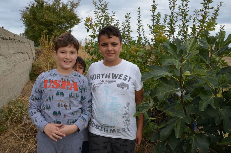 İncir ağacına bırakılan not tarla sahibini çok şaşırttı - Resim: 3