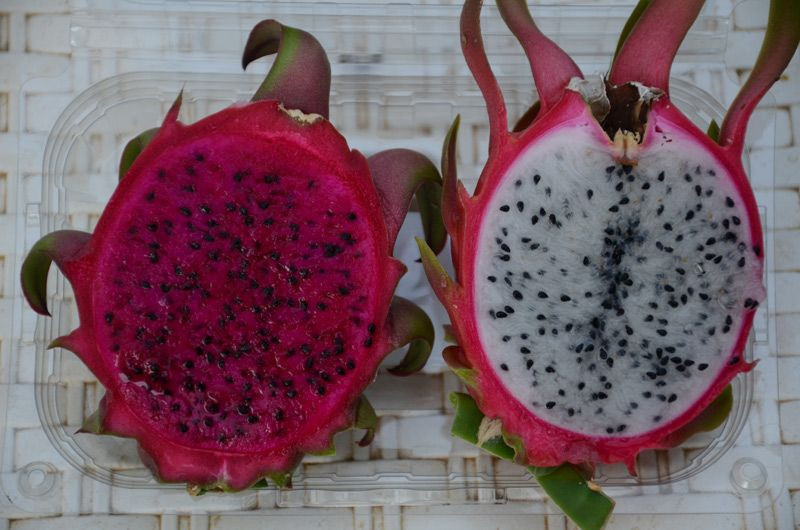 İşini bırakıp serasını kurdu tanesini 7-13 liradan satıyor - Resim: 2