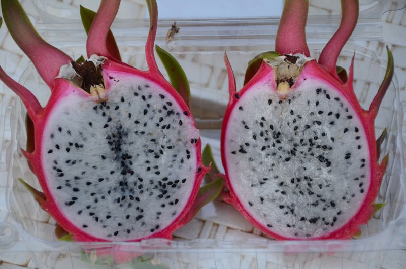 İşini bırakıp serasını kurdu tanesini 7-13 liradan satıyor - Resim: 3