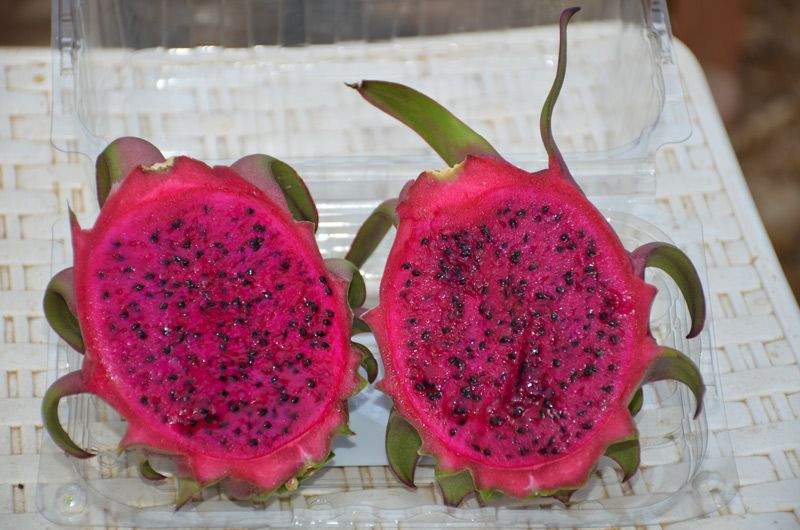 İşini bırakıp serasını kurdu tanesini 7-13 liradan satıyor - Resim: 4