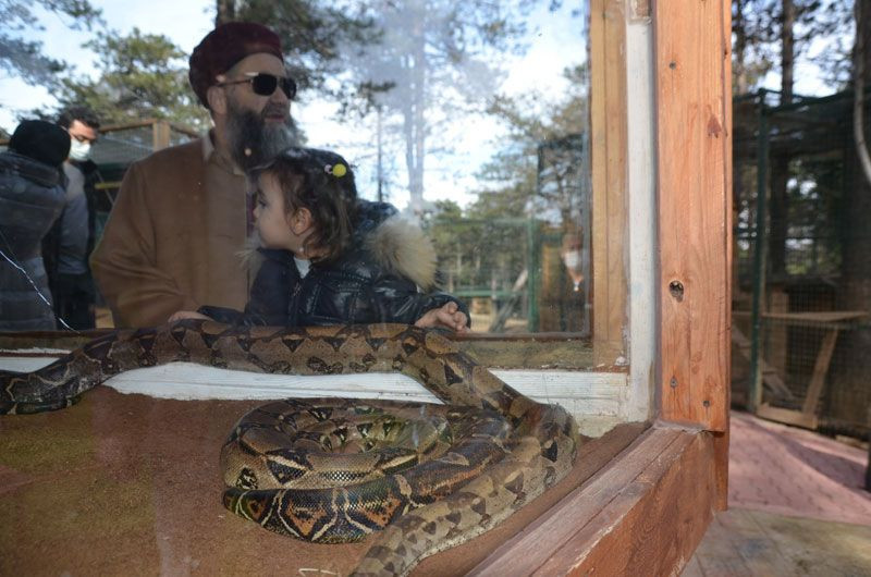 Cübbeli Ahmet Hoca'yı hiç böyle görmemiştik! Boz ayıyı elleriyle besledi - Resim: 2