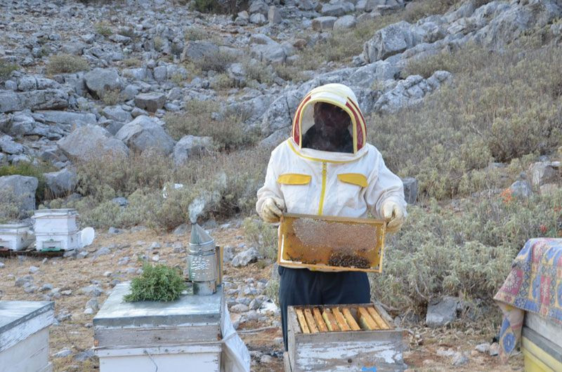 Antalya Akseki'de 2 bin metre yükseklikte kovandan çıkmadan satılıyor - Resim: 2