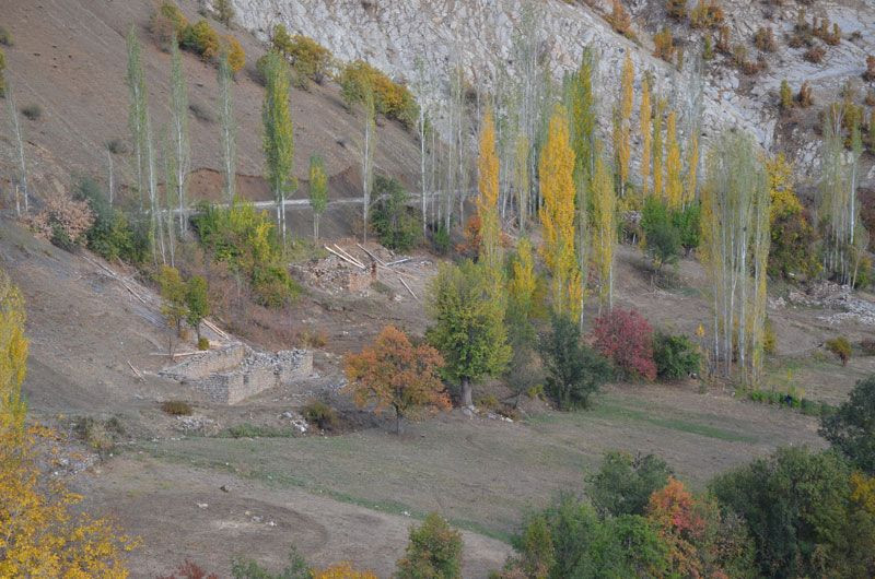 Şırnak'ta yaşayan 100 yaşındaki Ayşe Alp her şeyi anlattı: PKK 3 kez köyünü bastı - Resim: 2