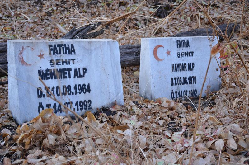 Şırnak'ta yaşayan 100 yaşındaki Ayşe Alp her şeyi anlattı: PKK 3 kez köyünü bastı - Resim: 4