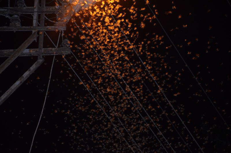 Şırnak’ın Beytüşşebap ilçesini istila ettiler vatandaşlar gece dışarı çıkamadı - Resim: 2