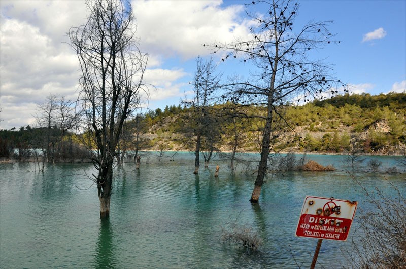 Gören hayran kalıyor ama gerçek dehşete düşürüyor - Resim: 1