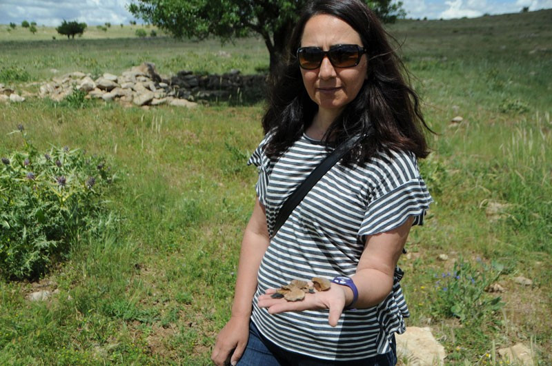 Tunceli'de bulundu tam bir milyon yıl öncesine ait  - Resim: 2