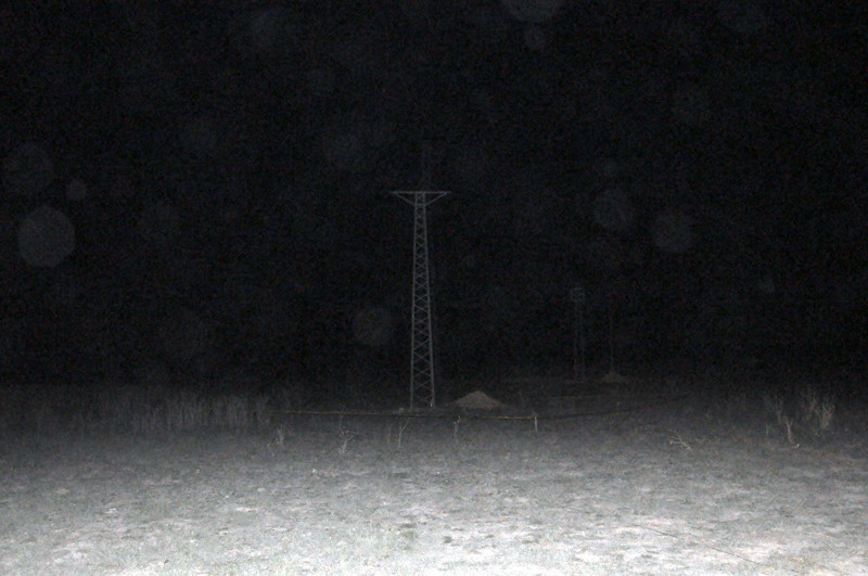 Küçük Eylül'den kahreden haber: Her yerde aranıyordu! - Resim: 3