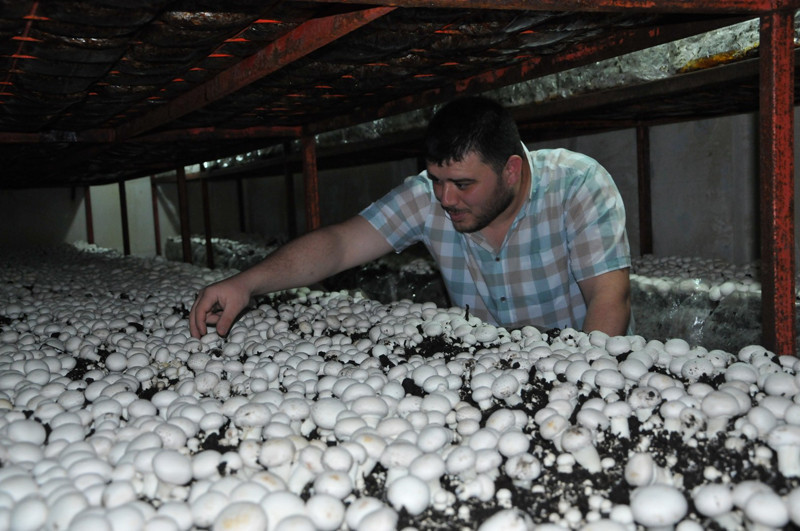 Memur olamadı ama şimdi 2 ev geçindiriyor - Resim: 2