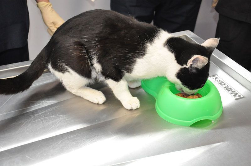 Denizli'de kendinin karnından tel toka çıktı herkes şaşkına döndü - Resim: 4