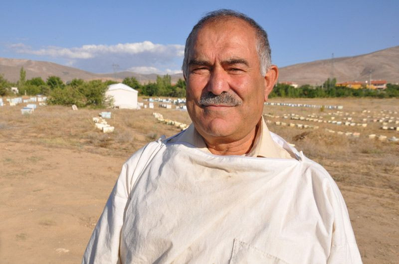 Arı sütünün faydaları arı sütünü normal sütle karıştırırsanız - Resim: 2