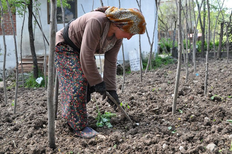 En uzun ömürlü insanlarının yaşadığı ilçede koronavirüse rastlanmadı - Resim: 3