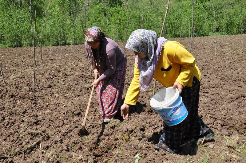 En uzun ömürlü insanlarının yaşadığı ilçede koronavirüse rastlanmadı - Resim: 4