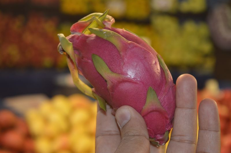 Eskişehir'de bu meyveye gören bir daha bakıyor! Tanesi 20 lira - Resim: 1