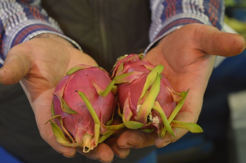 Eskişehir'de bu meyveye gören bir daha bakıyor! Tanesi 20 lira - Resim: 2