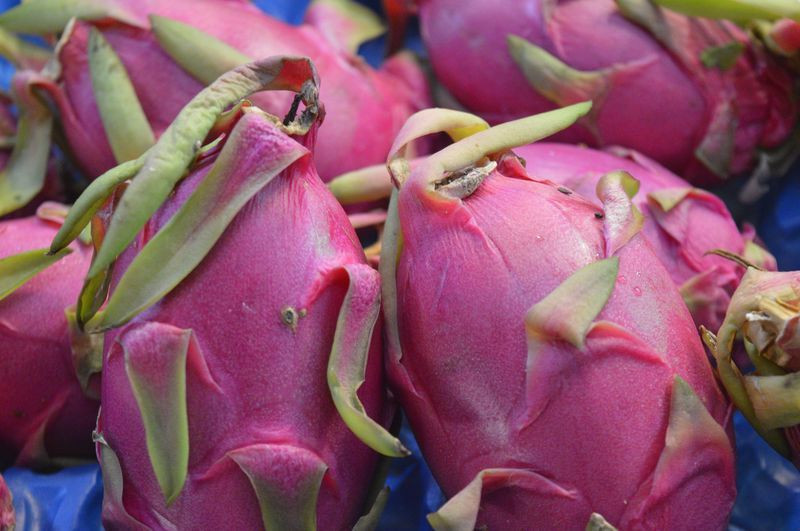 Eskişehir'de bu meyveye gören bir daha bakıyor! Tanesi 20 lira - Resim: 3