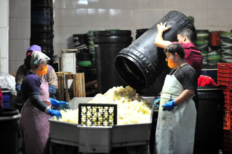 Bursa'da yazı aylarında bu köyün nüfusu ikiye katlanıyor adını duyan koşuyor - Resim: 2