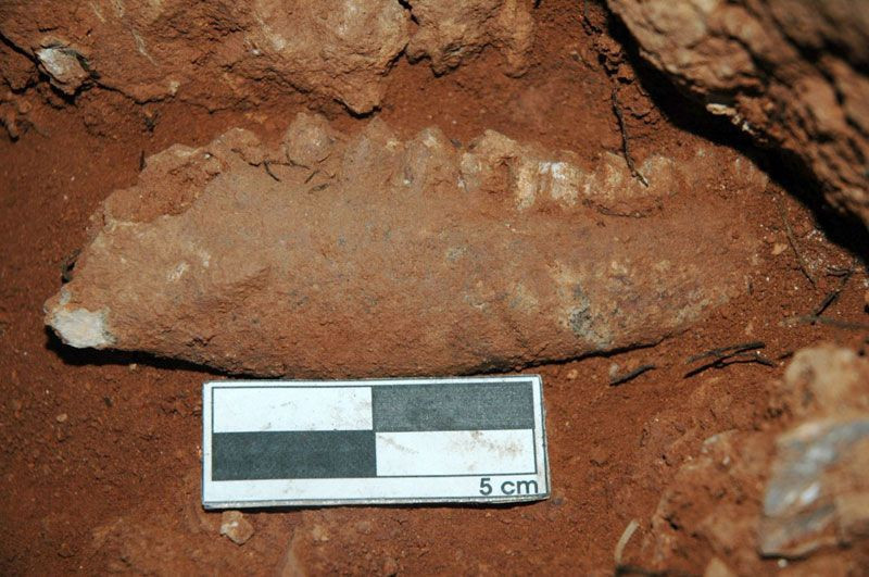 Hatay'da denizin altında  bulundu 75 bin yıllık çıktı tarih yeniden şekillendi - Resim: 11