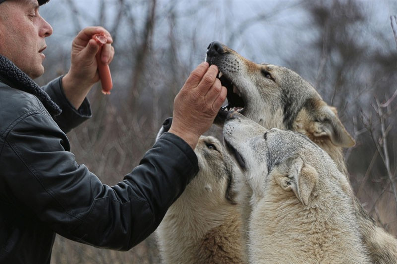 Ailenin üyelerine bakın Makedonya'da olay oldu - Resim: 1