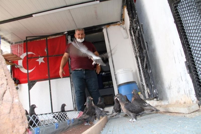 Saddam Hüseyin’in de beslediği güvercinin fiyatı dudak uçuklattı! Aylık masrafı 2 bin lira - Resim: 4