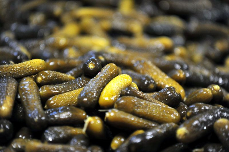 Bursa'da yazı aylarında bu köyün nüfusu ikiye katlanıyor adını duyan koşuyor - Resim: 4