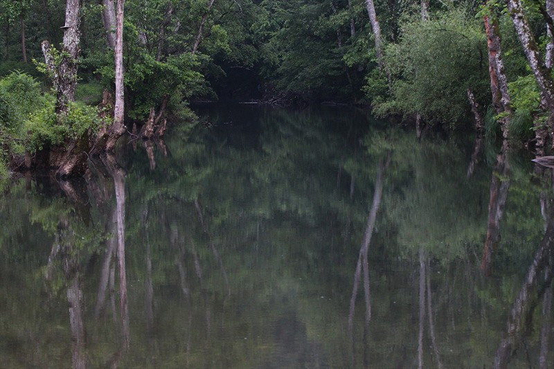 İstanbul'un yanı başında 'sakin cennet' - Resim: 1