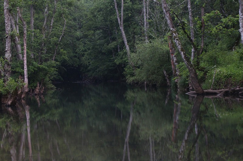 İstanbul'un yanı başında 'sakin cennet' - Resim: 3