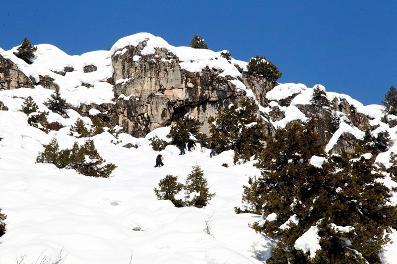 Avcılar bu sefer avlanmadı bakın ne yaptılar - Resim: 4
