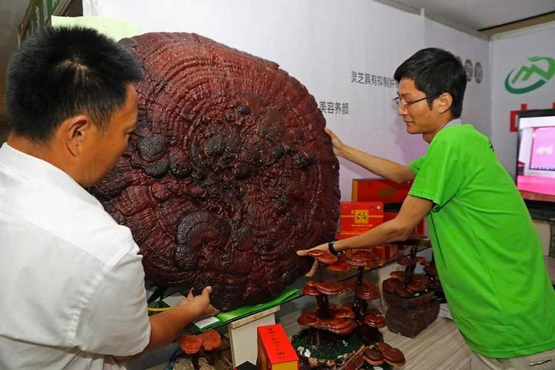 Bunu kaynatıp içen 120 yıl yaşıyor yok artık - Resim: 4