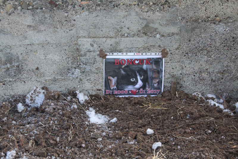 Aile kabristanına bakın kimi gömdü! - Resim: 1