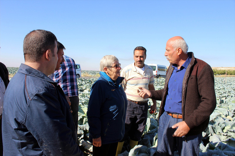 Canan Karatay önerdi: Bol bol yiyin - Resim: 3