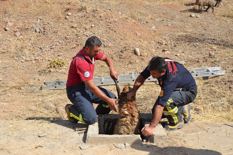 38'i birden can havliyle kuyuya atladı nedenine bakın - Resim: 2
