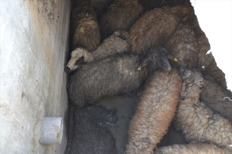38'i birden can havliyle kuyuya atladı nedenine bakın - Resim: 3
