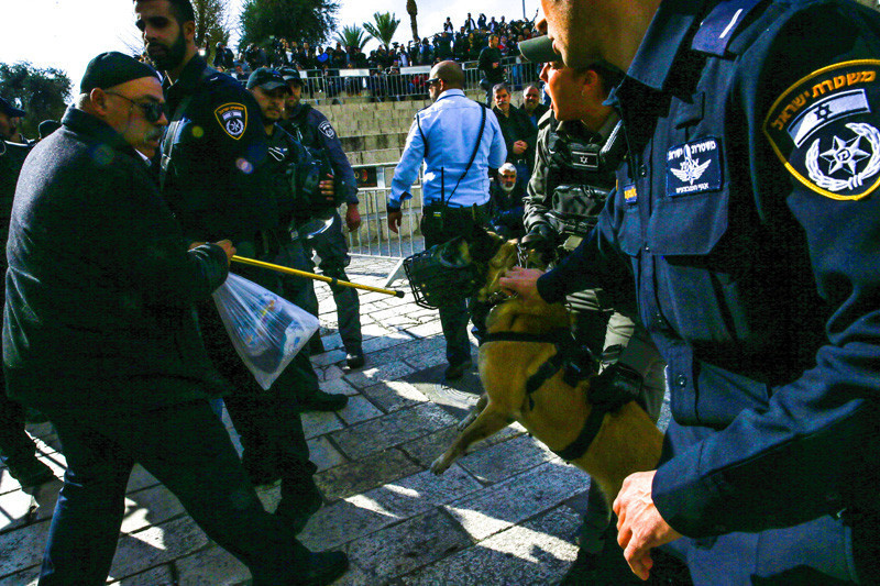 İsrail Mescid-i Aksa'da köpekleriyle saldırdı! Dehşet kareler - Resim: 3